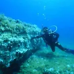 La Terrazza Sul Mare, 44 Lägenhet